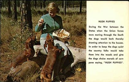 Recipe for Hush Puppies Dogs Original Vintage Postcard